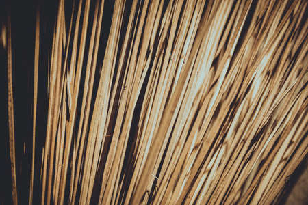 Brooms - home housecleaning equipment tool backgroundの写真素材