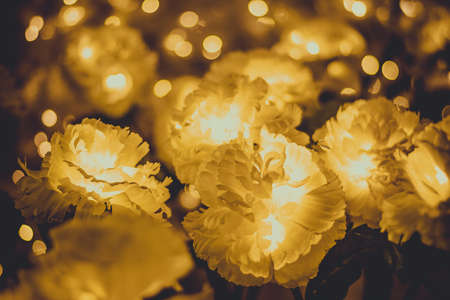 Yellow flower and light yellow bokehの写真素材