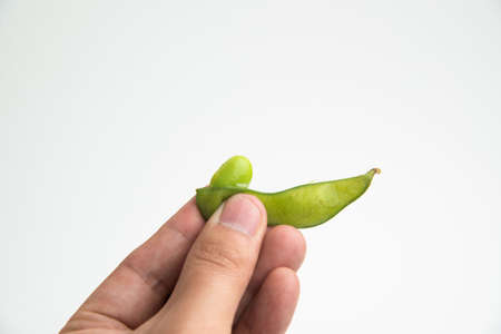holding edamameの写真素材