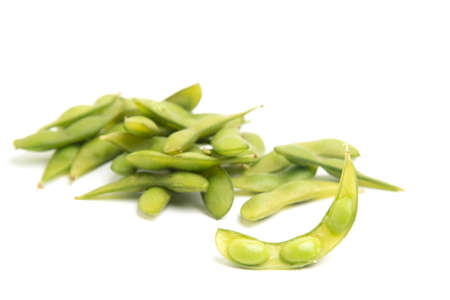 soybeanの写真素材