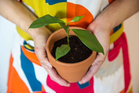 girl holding podの写真素材