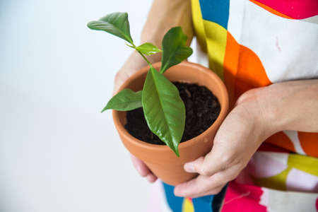 girl holding podの写真素材