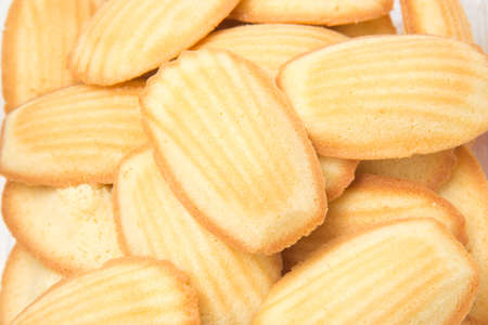 madleineの写真素材