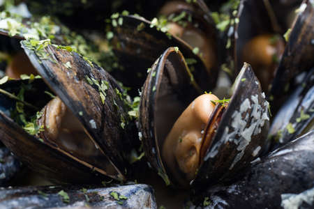 steamed musselの写真素材