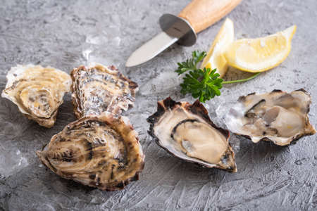 raw oyster with knife image