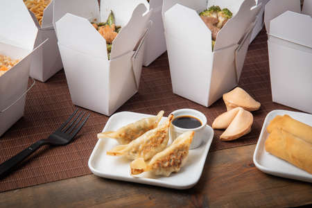 gyoza dumpling with american chinese food containerの写真素材