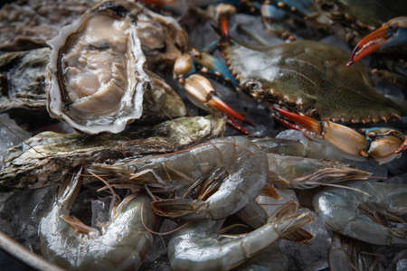 crustacean in pan filled with iceの写真素材