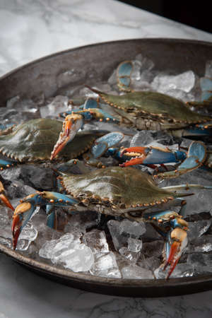 chesapeake blue crab on iceの写真素材