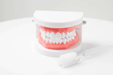 prop tooth with brush, dentistry image