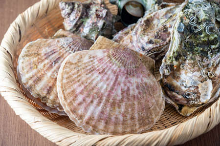 scallop in japanese bamboo basketの写真素材