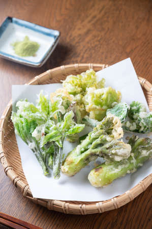 japanese traditional wild vegetable tempura with matcha saltの写真素材
