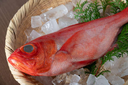 Kinmedai, japanese fresh whole red snapper