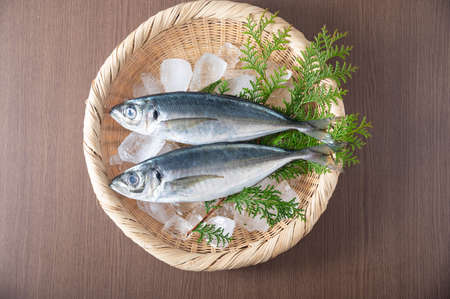 Aji, japanese whole raw horse mackerelの写真素材