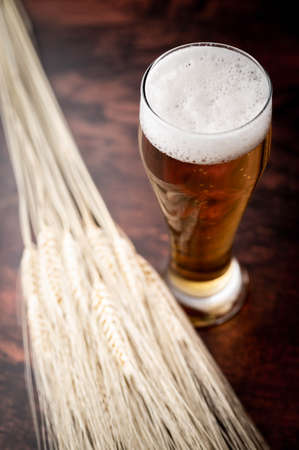 beer in tap with bunch of barleyの写真素材