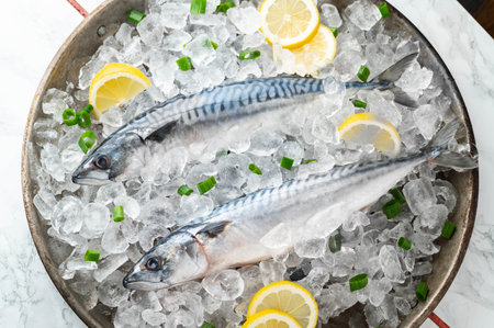 fresh mackerel on crushed ice with lemonの写真素材