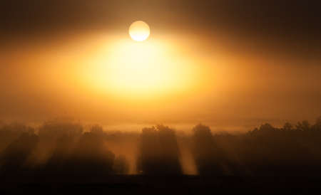 Sunrise through fogの写真素材