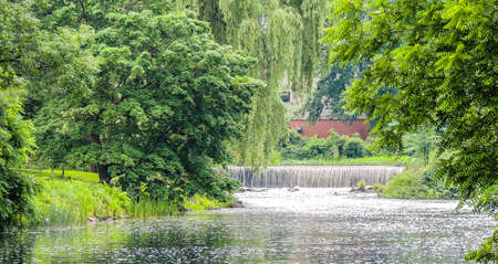 Walking through the park on a spring day.の写真素材