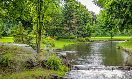 Walking through the park on a spring day.の写真素材