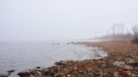 Heavy fog with diffused sunlight on Ottawa River shoreline -rapidly changing dense fog envelopes shore - obscured sunshine beaming through, bright diffusion, mid-morning sunrise.の写真素材