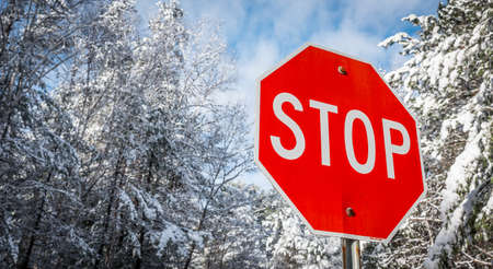 Stop sign on a winter woods road - shines blazing red against snowy trees winter woods backdrop.