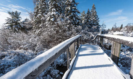 A fresh fallen snow covers a footbridge on a walking path in the woods.  Nature winter scenic.の写真素材