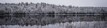 Panoramic winter woods reflection on the lake.  Like a mirror, still waters reflect the forests next...