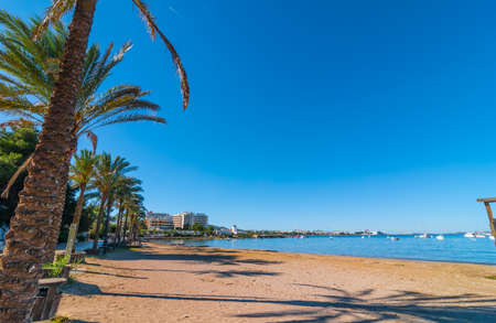 Mid morning sun, walk along beach near the city.  Rows of palm trees line the beach, sunny day along the water's edge in Ibiza, St Antoni de Portmany Balearic Islands, Spain.の写真素材