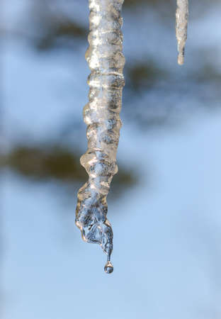 Abstract nature background, natural icicle formations, clear & sparkly lighted by direct sunlight,...