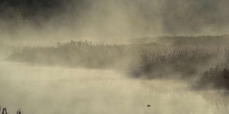 Warm water & cooler air at daybreak.  Back lit bright misty fog rises from quiet water on marshy lakeside.の写真素材