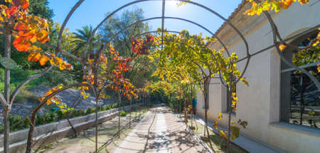 Sunny beautiful garden walkway, featuring metal vine growing frame overhead.  People out visiting garden parks in the city of Madrid.のeditorial素材