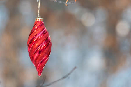Sunlight shines on Christmas ornament outdoors hanging on a live pine tree in winter.の写真素材
