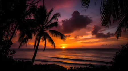 Tropical beach at sunset with palm trees silhouetted against the sunの素材