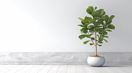 Green plant in pot on wooden floor and white wall background. 3D renderingの素材