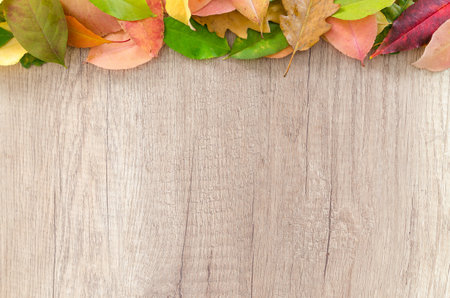 Autumn leaves on wooden background with copy space for your text.の写真素材