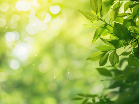 Fresh green leaves on blurred nature background with bokeh and sunlightの素材