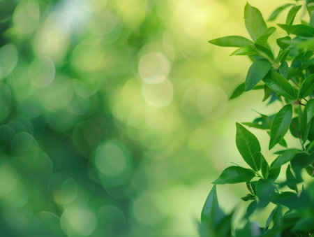 green leaves on blurred greenery background with bokeh and copy spaceの素材