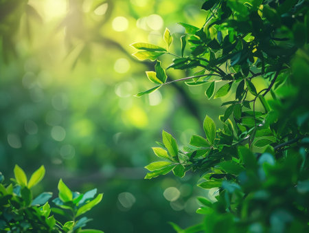 Beautiful nature view of green leaf on blurred greenery background under sunlight with bokeh and copy space using as background natural plants landscape, ecology wallpaper concept.の素材