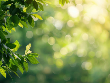 Green leaves with bokeh and sunlight in the morning. Natural background.の素材