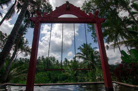 Two swings above the pool with an epic forest view ahead located near Ubud, Gianyar, Bali, Indonesiaの写真素材