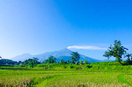 Eruption of Mount Arjuna/Arjuno-Welirang with rice paddies epic viewの写真素材
