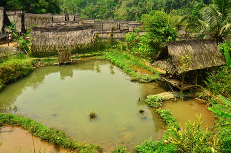 village ponds between residents' houses in Tasikmalaya, West Java, Indonesiaの写真素材