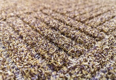 carpet texture with yellow and dark red squares with focus in the center.