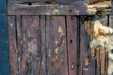 old rotten door boards and clogged rusty nails.の写真素材