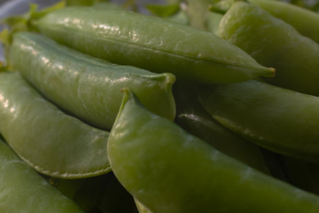 green peas laid out for cooking salad in food on a plateの写真素材