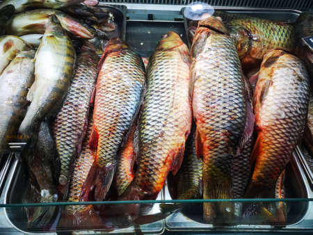 fresh unpeeled fish sold in the refrigerator of a hypermarket