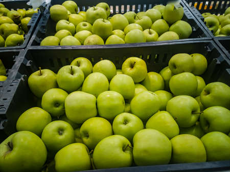 ripe green apples are sold among the fruits in the supermarket.の写真素材