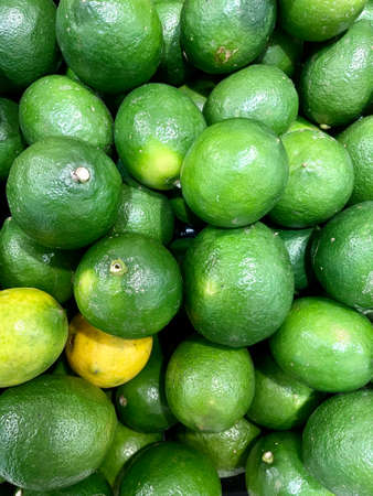 Lime or Jeruk nipis (Lat Citrus aurantifolia; Family: Rutaceae) is a type of plant that belongs to the citrus-orange tribe, spread in Asia and Central America, also known as pecel oranges.の写真素材