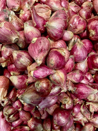 The shallot (small onion) is a botanical variety (a cultivar) of the onion.の写真素材