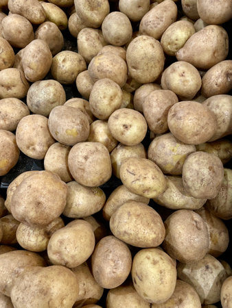 Potato (Solanum tuberosum) is a plant from the Solanaceae tribe that has edible stem tubers and is called "kentang".の写真素材