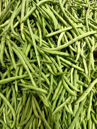 Chickpeas or Buncis in Indonesia (from Dutch boontjes for beans in general), are the edible legumes of the various cultivars Phaseolus vulgaris.の写真素材